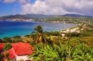 grenada cinnamon