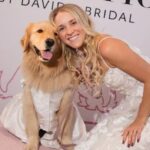 David’s Bridal Goes to the Dogs—Literally